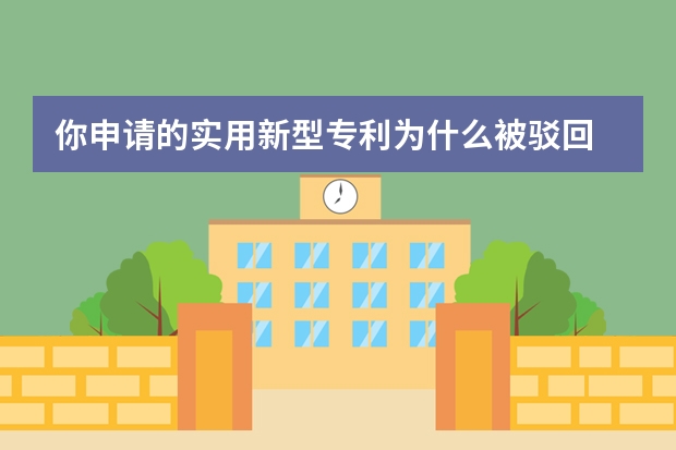 你申请的实用新型专利为什么被驳回 专利申请的流程