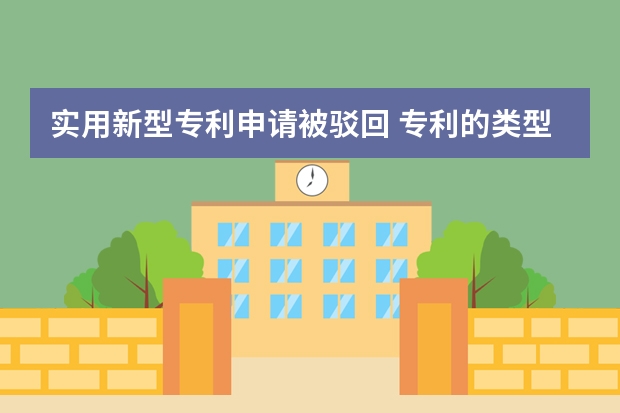 实用新型专利申请被驳回 专利的类型及办理专利申请应当提交哪些申请文件