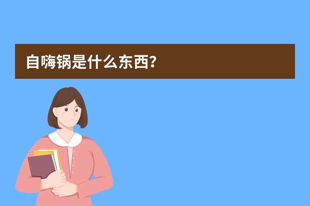 自嗨锅是什么东西？