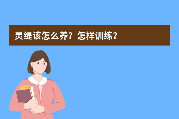 灵缇该怎么养？怎样训练？